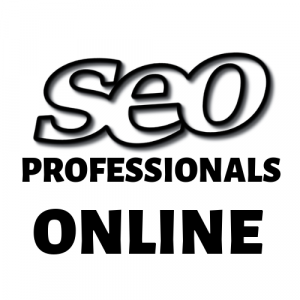 seo professional online